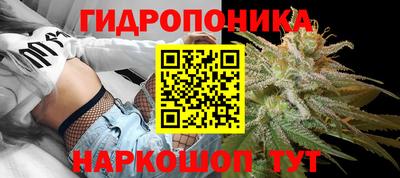 наркотики Боровичи