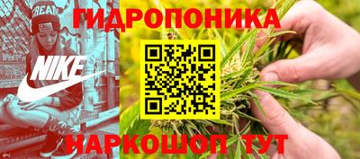 наркотики Боровичи