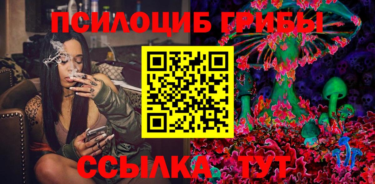 дарнет шоп  Псилоцибиновые грибы MAGIC MUSHROOMS  Видное  Вход с VPN  Псилоцибиновые грибы мицелий 