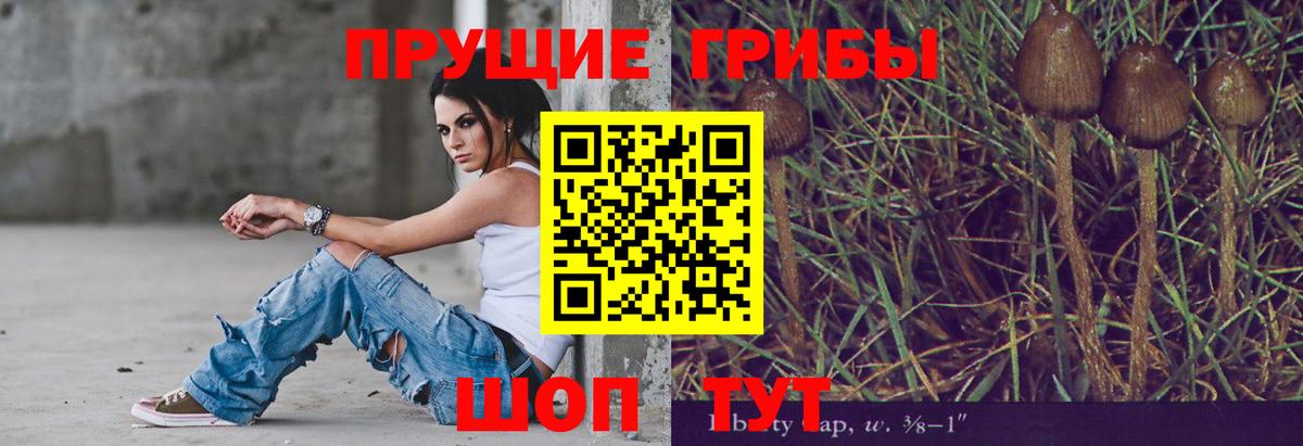 Псилоцибиновые грибы Magic Shrooms Видное